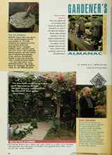 Better Homes & Gardens August 1992 Magazine Article: SUCCULENT SAVVY