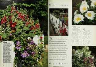 Better Homes & Gardens August 1992 Magazine Article: Page 18