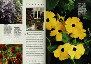 Better Homes & Gardens August 1992 Magazine Article: Page 20