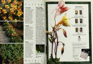 Better Homes & Gardens August 1992 Magazine Article: Page 22