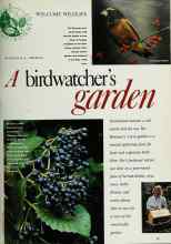 Better Homes & Gardens September 1992 Magazine Article: A birdwatcher's garden