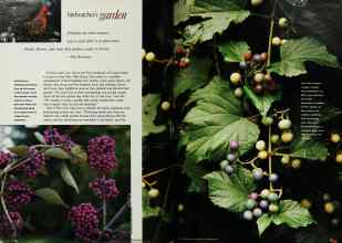 Better Homes & Gardens September 1992 Magazine Article: Page 18