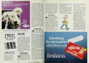 Better Homes & Gardens September 1992 Magazine Article: Page 86