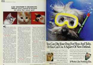 Better Homes & Gardens September 1992 Magazine Article: Page 156