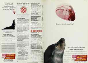 Better Homes & Gardens September 1992 Magazine Article: Page 174