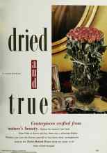 Better Homes & Gardens October 1992 Magazine Article: Dried and true