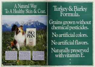 Better Homes & Gardens October 1992 Magazine Article: Page 6