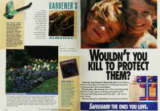 Better Homes & Gardens October 1992 Magazine Article: Page 20