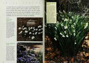 Better Homes & Gardens October 1992 Magazine Article: Page 26