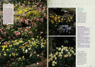 Better Homes & Gardens October 1992 Magazine Article: Page 28