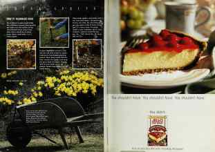 Better Homes & Gardens October 1992 Magazine Article: Page 30