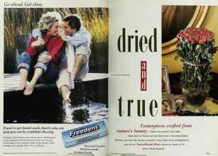 Better Homes & Gardens October 1992 Magazine Article: Page 114