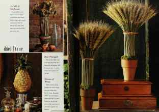 Better Homes & Gardens October 1992 Magazine Article: Page 116