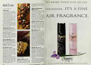 Better Homes & Gardens October 1992 Magazine Article: Page 128