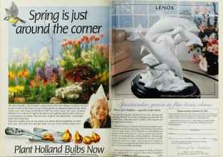Better Homes & Gardens October 1992 Magazine Article: Page 170