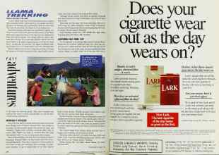 Better Homes & Gardens October 1992 Magazine Article: Page 234