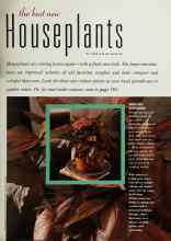 Better Homes & Gardens November 1992 Magazine Article: The best new Houseplants