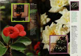 Better Homes & Gardens November 1992 Magazine Article: Page 20