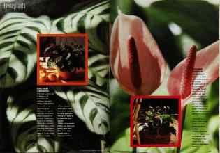 Better Homes & Gardens November 1992 Magazine Article: Page 22