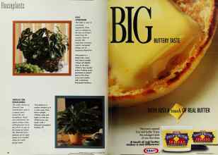 Better Homes & Gardens November 1992 Magazine Article: Page 26