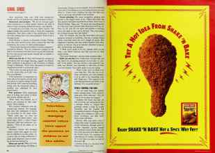 Better Homes & Gardens November 1992 Magazine Article: Page 38