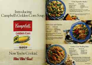 Better Homes & Gardens November 1992 Magazine Article: Page 166