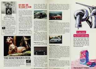 Better Homes & Gardens November 1992 Magazine Article: Page 210