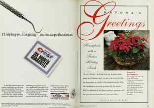 Better Homes & Gardens December 1992 Magazine Article: Page 16