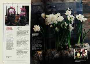 Better Homes & Gardens December 1992 Magazine Article: Page 20