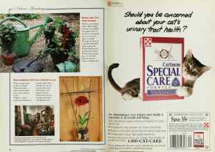 Better Homes & Gardens December 1992 Magazine Article: Page 22