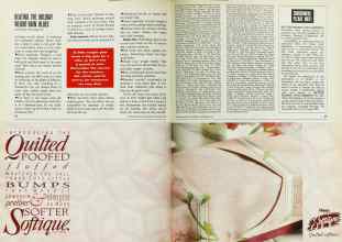 Better Homes & Gardens December 1992 Magazine Article: Page 42