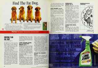 Better Homes & Gardens December 1992 Magazine Article: Page 64