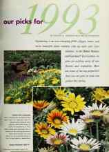 Better Homes & Gardens January 1993 Magazine Article: our picks for 1993