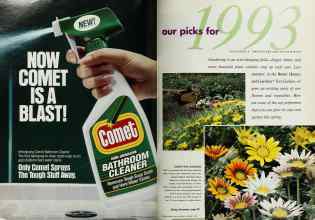 Better Homes & Gardens January 1993 Magazine Article: Page 20