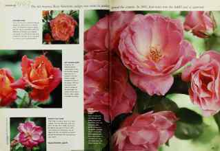 Better Homes & Gardens January 1993 Magazine Article: Page 22