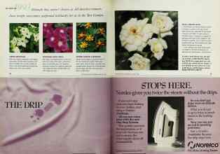 Better Homes & Gardens January 1993 Magazine Article: Page 26