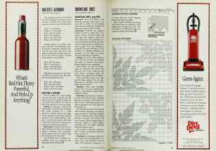 Better Homes & Gardens January 1993 Magazine Article: Page 44
