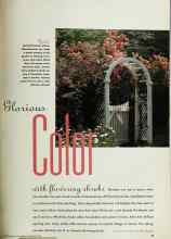 Better Homes & Gardens February 1993 Magazine Article: Glorious Color