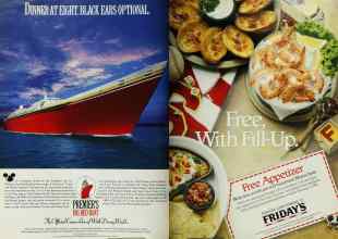 Better Homes & Gardens February 1993 Magazine Article: Page 2