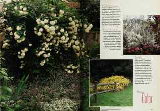 Better Homes & Gardens February 1993 Magazine Article: Page 22