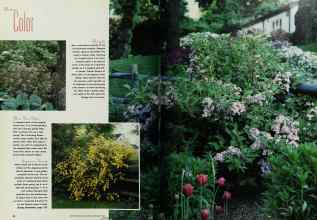 Better Homes & Gardens February 1993 Magazine Article: Page 24