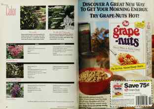 Better Homes & Gardens February 1993 Magazine Article: Page 28
