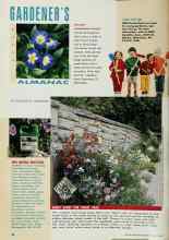 Better Homes & Gardens March 1993 Magazine Article: EARLY START FOR SWEET PEAS