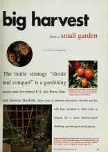 Better Homes & Gardens March 1993 Magazine Article: Big harvest from a small garden