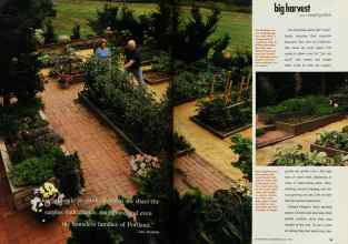 Better Homes & Gardens March 1993 Magazine Article: Page 24