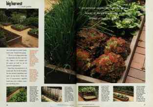 Better Homes & Gardens March 1993 Magazine Article: Page 26