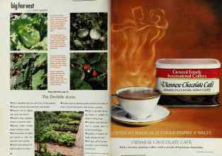 Better Homes & Gardens March 1993 Magazine Article: Page 28