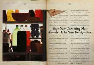 Better Homes & Gardens March 1993 Magazine Article: Page 32