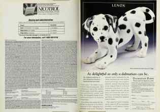 Better Homes & Gardens March 1993 Magazine Article: Page 140