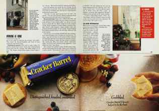 Better Homes & Gardens March 1993 Magazine Article: Page 202